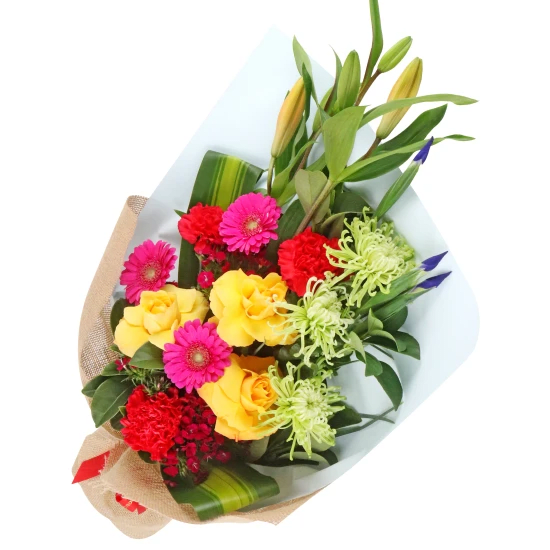 Big Blooms Summer Shine - Standard