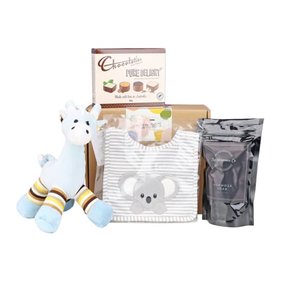 Baby Bliss Duo Baby Boy Hamper - Standard