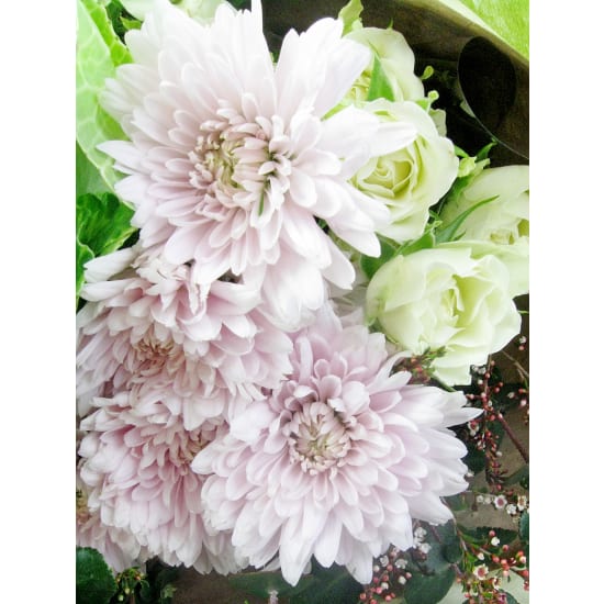 Garden Of Wonder - Standard