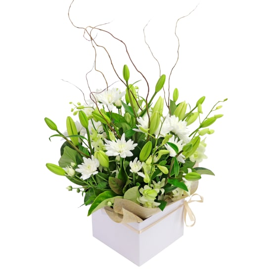 Botanique White Flower Box - Standard