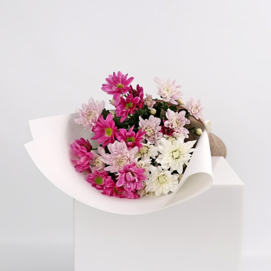 Mixed Pastels Chrysanthemum Bunch - Standard
