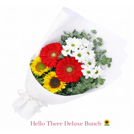 Hello There Bunch - Deluxe