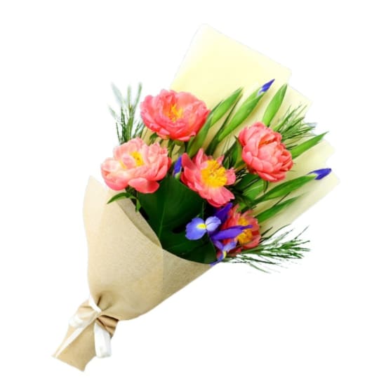 Coral And Cobalt - Standard