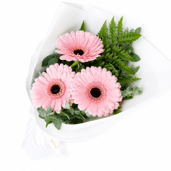 Gerbera Gems Posy - Standard