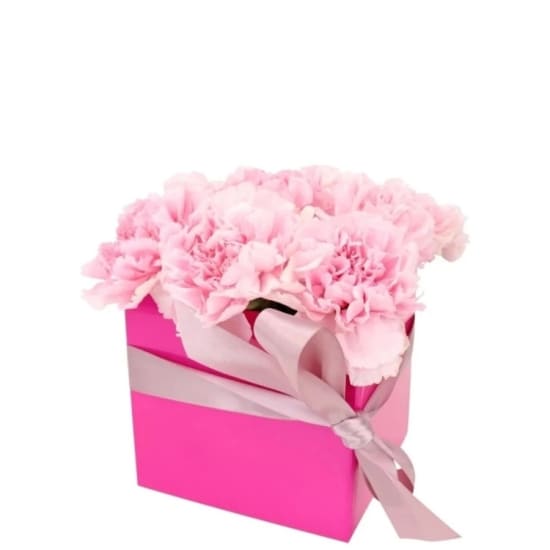 Little Carnation Flower Box   Pink - Standard