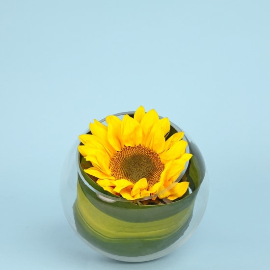 Be Happy Sunflower Fish Bowl - Standard