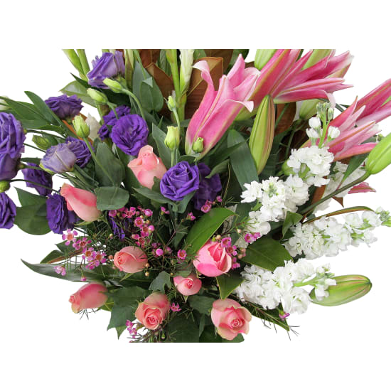 Raison D'être - Standard