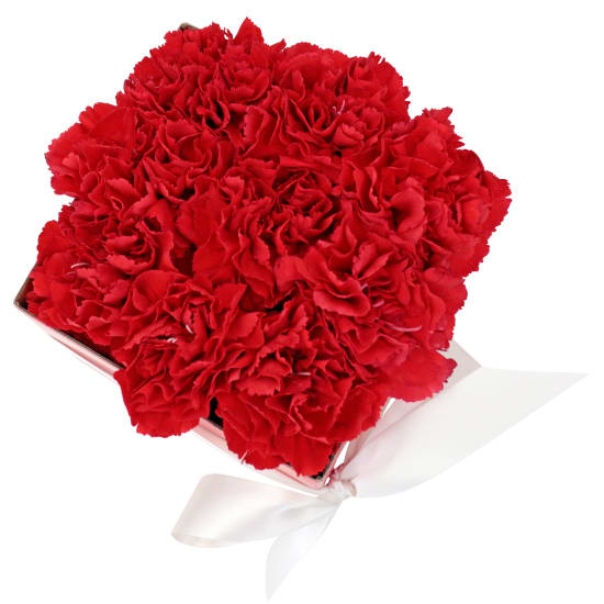 Little Carnation Flower Box   Red - Standard