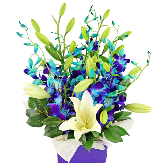 Blue Making Magic Posy Box - Premium