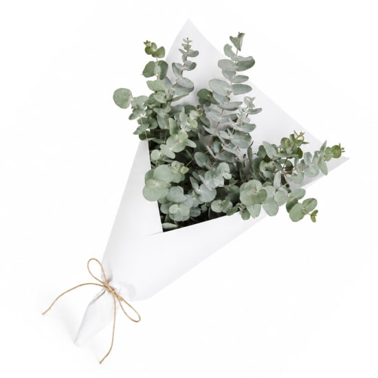 Market Bunch   Native Gum - Standard
