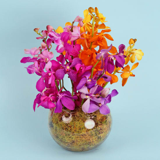 Orchid Fish Bowl Flower Arrangement - Standard