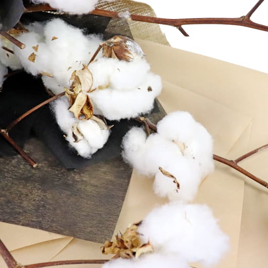 Cloud Cotton Preserved Bouquet - Standard