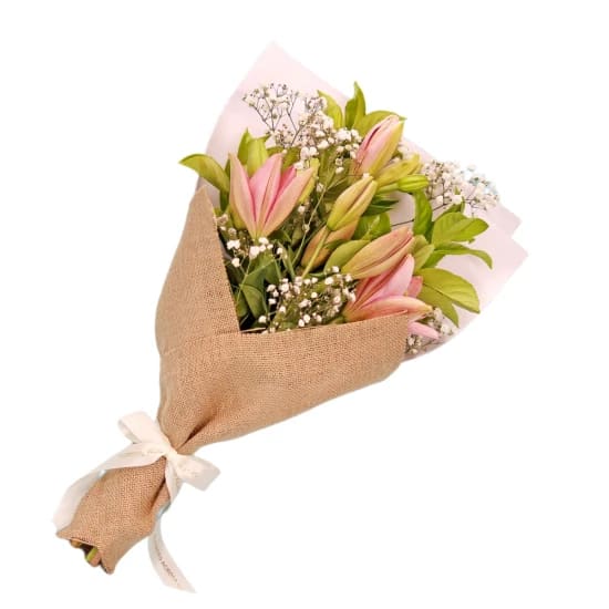 Lily Love - Standard