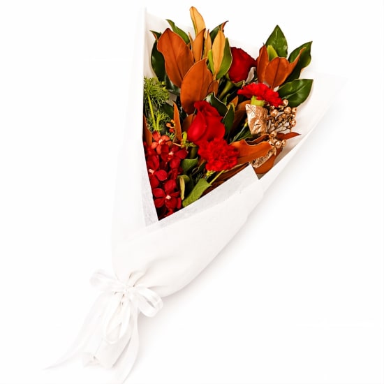 Crimson Fortune Blooms - Standard