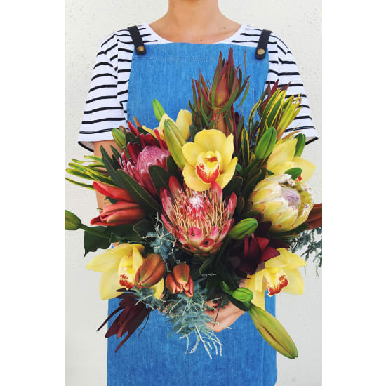 Wilderness - Standard