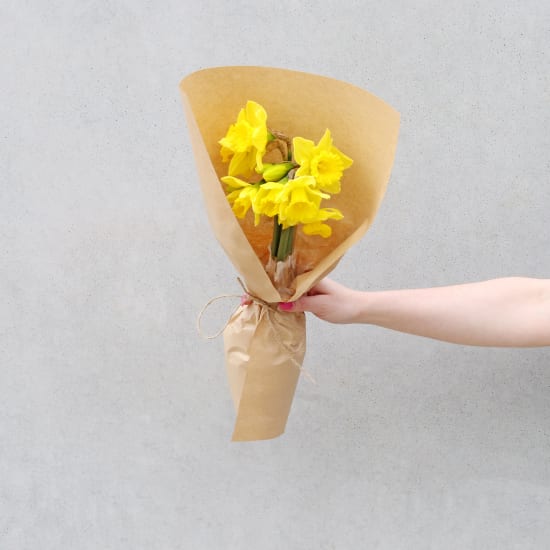 Daffodils Market Bunch - Standard