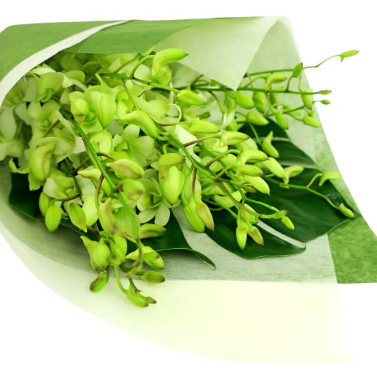 White Orchid Bunch - Deluxe