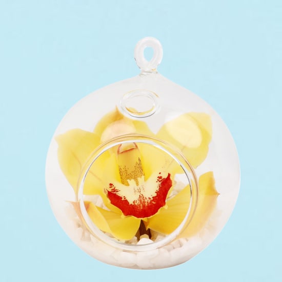 Yellow Orchid Orb - Standard