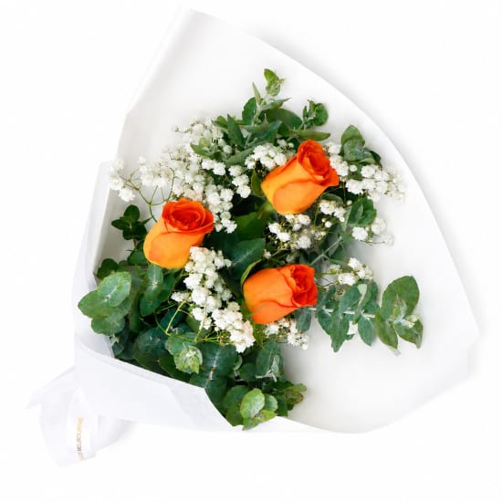 Rambling Roses - Standard