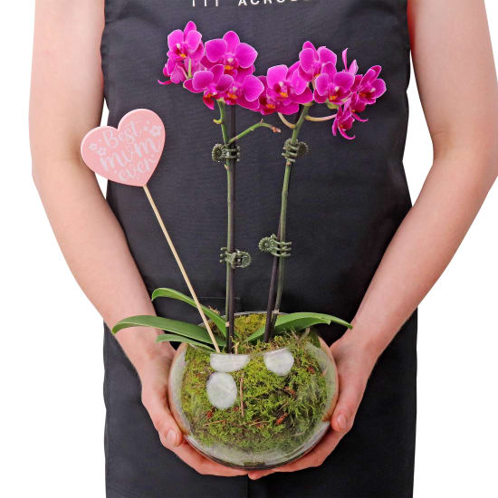 Best Mum Ever Orchid In Fishbowl - Standard