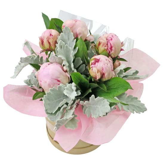 Pretty As A Peony - Standard