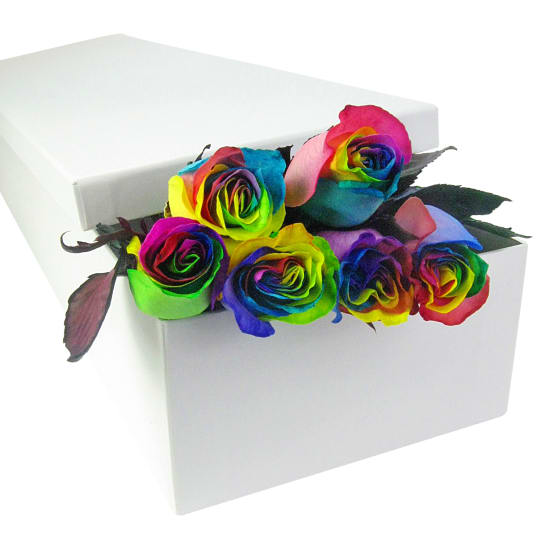 Rainbow Rose Trio - 6 Roses (Half Dozen)