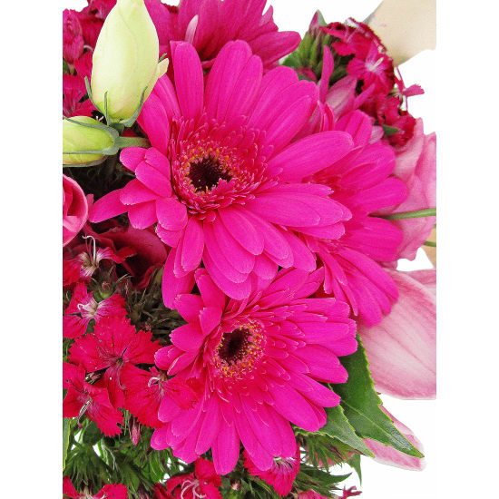 Expressive Glass Fish Bowl Arrangement - Standard