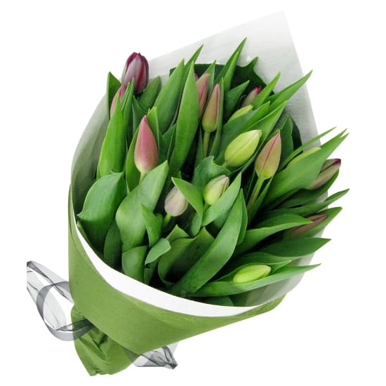 Mixed Pastels Tulip Bunch - Deluxe