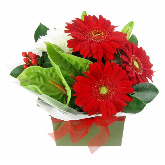 Santa's Suit - Standard