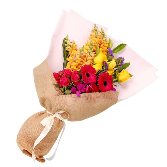 Pet Safe Radiant Botanicals - Standard