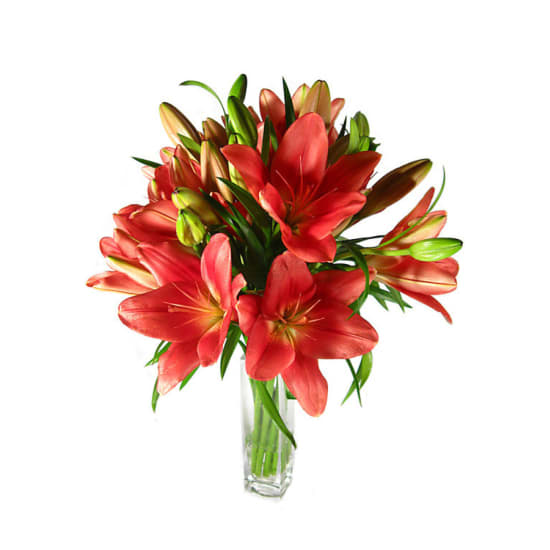 Red LA Lilies in a Glass Vase - Standard