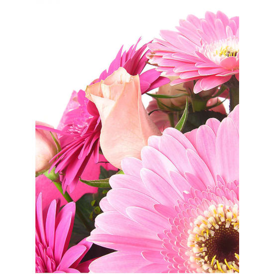 Gerbera and Rose Box - Standard