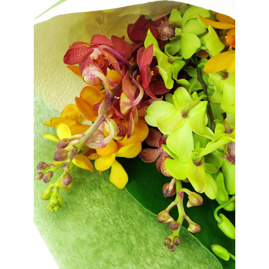 Autumn's Rainbow Orchid Bunch - Standard