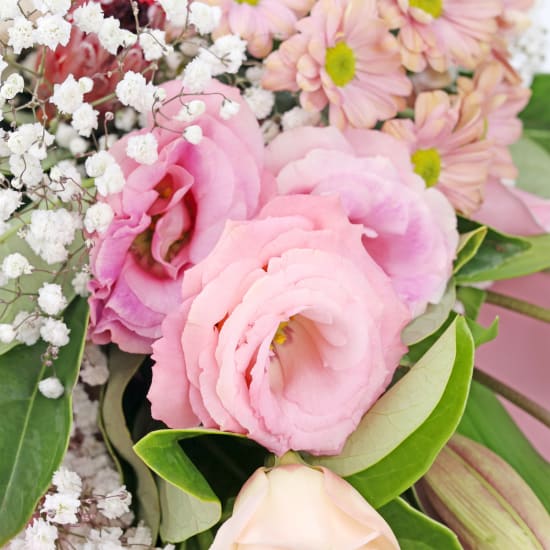 Harmony In Bloom - Standard