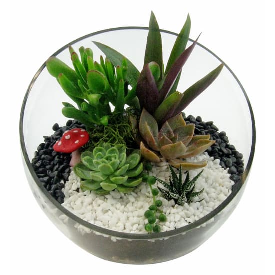 Sweet Sanctuary Terrarium - Standard