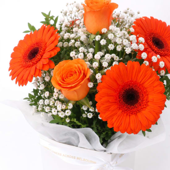 Levity Bloom Box - Standard