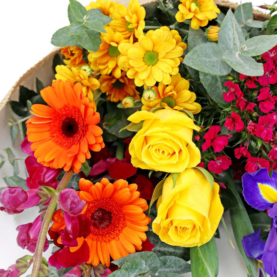 Little Bright Blooms - Deluxe