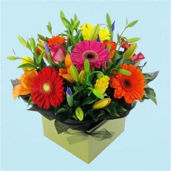 Vivacious Mixed Brights Flower Box - Deluxe