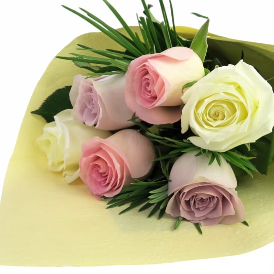 Pastel Roses - 6 Roses (Half Dozen)