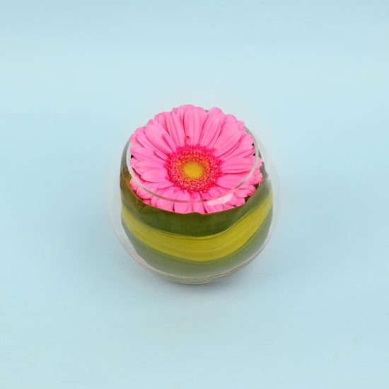 Gerbera Fishbowl Arrangement - Standard
