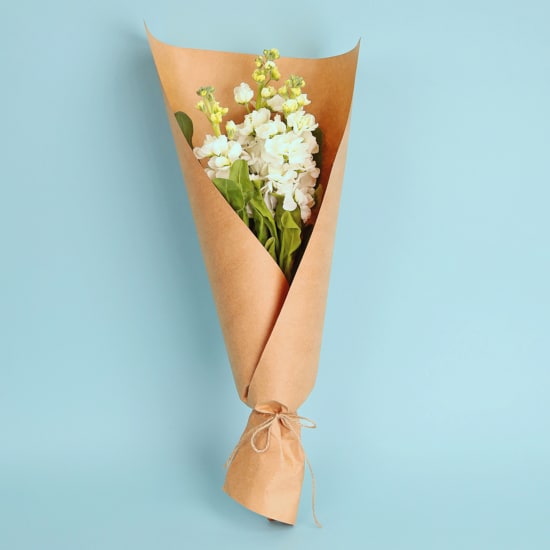 Stock Market Bunch - Standard