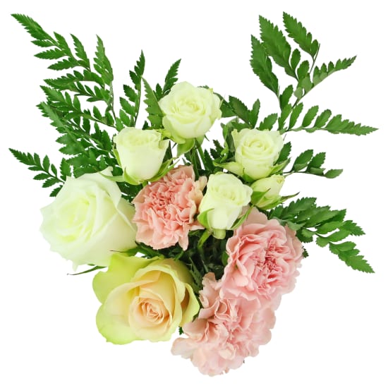 Elegant Ruffles - Standard