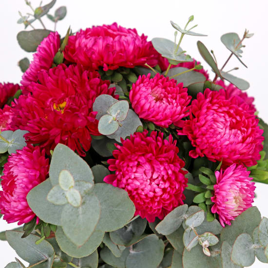 Star Burst - Standard