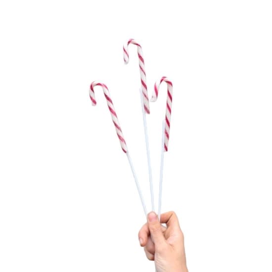 Christmas Candy Cane Picks - Standard