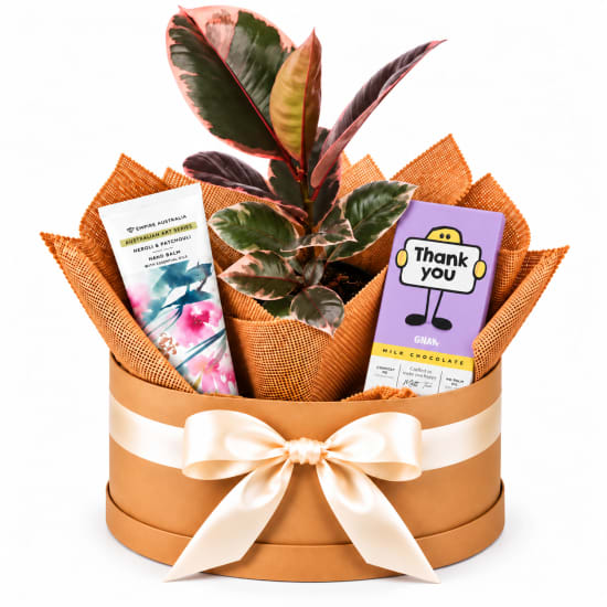 🌿💗 Ruby Thank You & Pamper Plant Hamper 🍫✨ - Standard