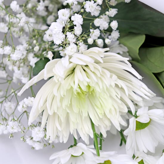 Little Thinking Of You Bunch - Standard