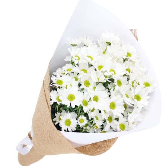 White Chrysanthemum Bunch - Deluxe