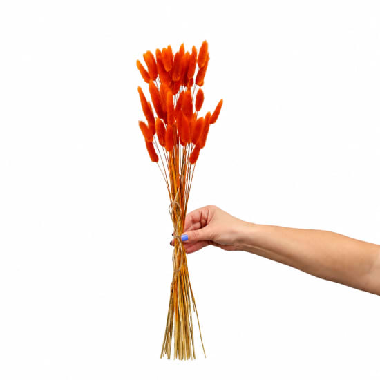 Orange Bunny Tails Bunch - Standard