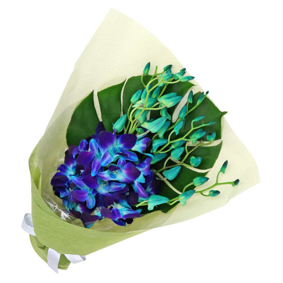 Blue Orchid Bunch - Standard