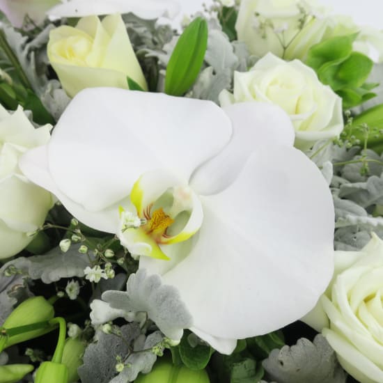 Above The Clouds White Sympathy Flower Wreath - Standard